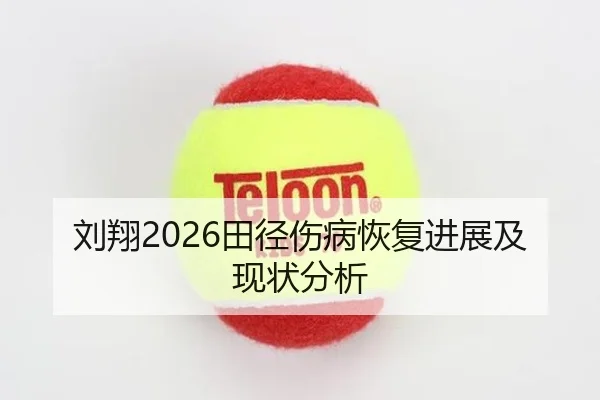 刘翔2026田径伤病恢复进展及现状分析