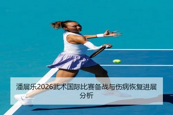 潘展乐2026武术国际比赛备战与伤病恢复进展分析
