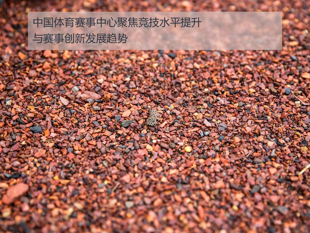 中国体育赛事中心聚焦竞技水平提升与赛事创新发展趋势